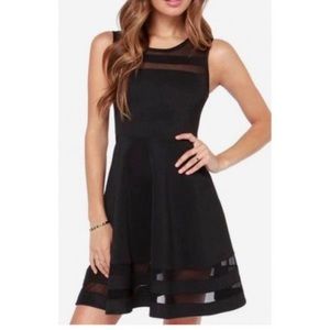 Sheer Determination Black Mesh Skater Dress